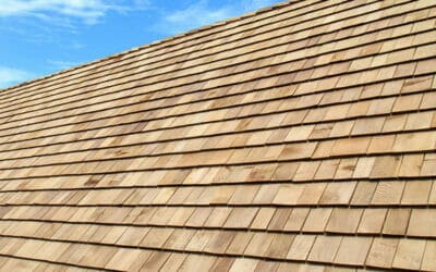 Commercial Roof Maintenance: What You Need to Know